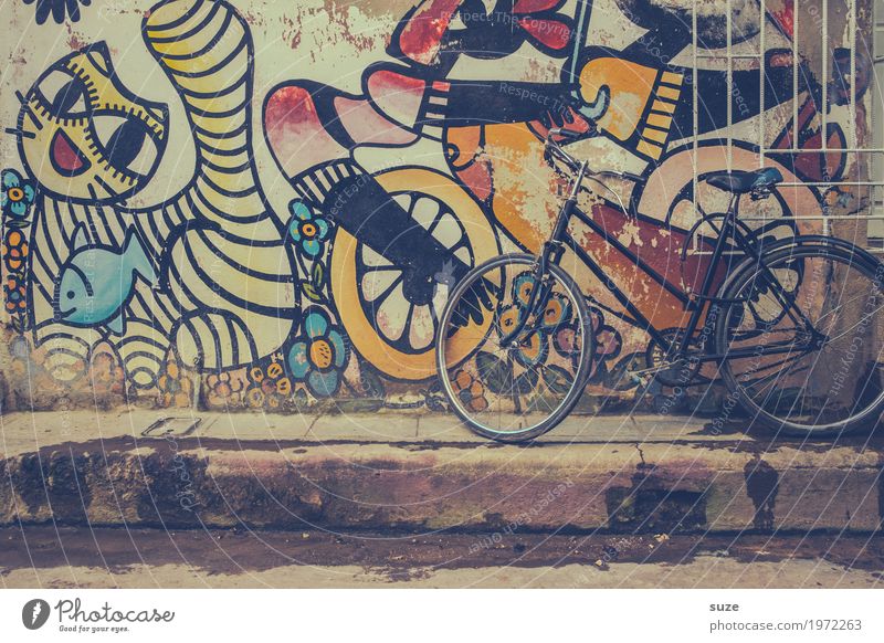wheelbase City trip House (Residential Structure) Bicycle Art Culture Town Outskirts Old town Facade Cat Graffiti Poverty Dirty Cute Retro Past Transience