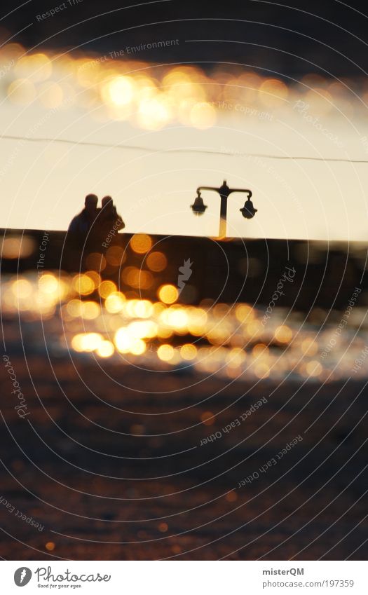 City Love. Couple Partner Esthetic Reflection Dusk Evening Summer Summer evening Tepid Sunset Romance Dresden Perspective Gold Relationship Future Together