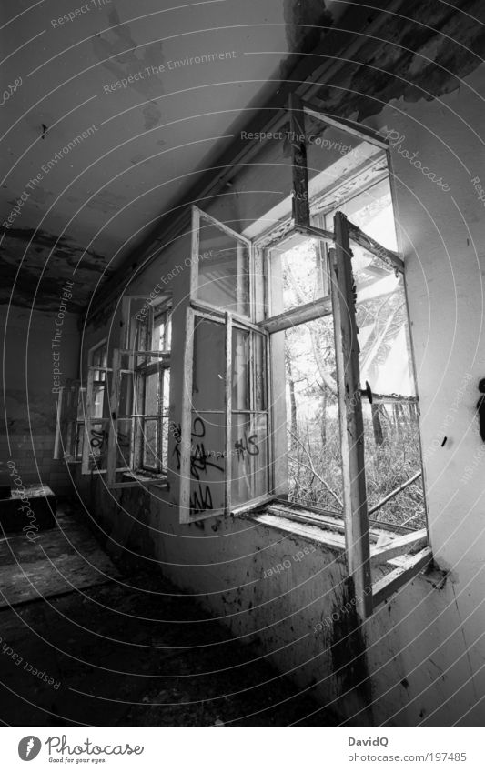 open Ruin Manmade structures Building Window Old Broken Black White Decline Black & white photo Interior shot Deserted Day Contrast Long exposure