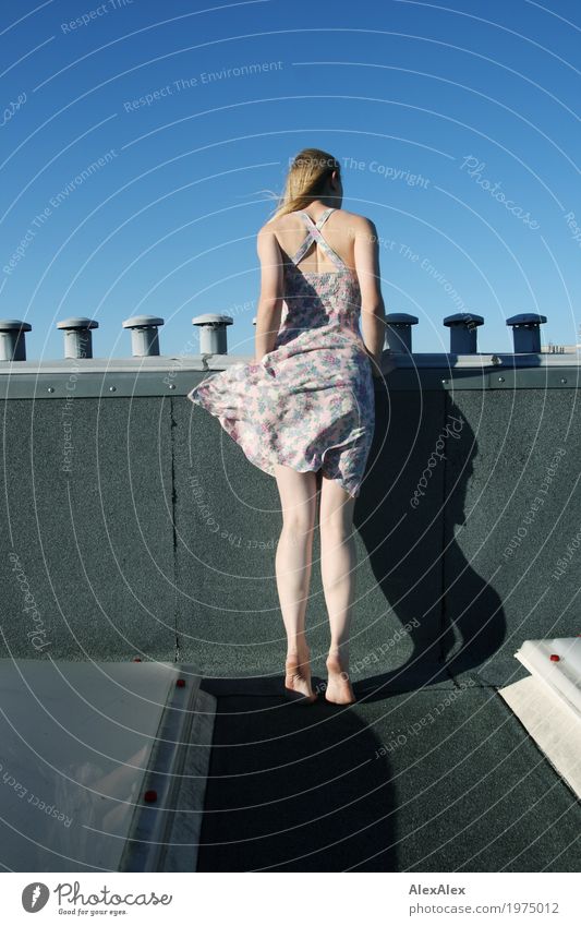 inquisitiveness Joy Beautiful Roof Chimney Young woman Youth (Young adults) Legs 18 - 30 years Adults Landscape Cloudless sky Beautiful weather Skylight Dress