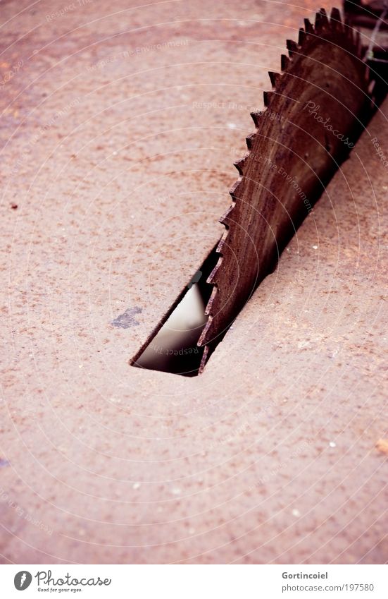 Sharp edged [LUsertreffen 04|10] Tool Saw Machinery Technology Metal Rust Old Red Iron Saw blade Sawtooth Saw log Craft (trade) Dangerous Risk of injury