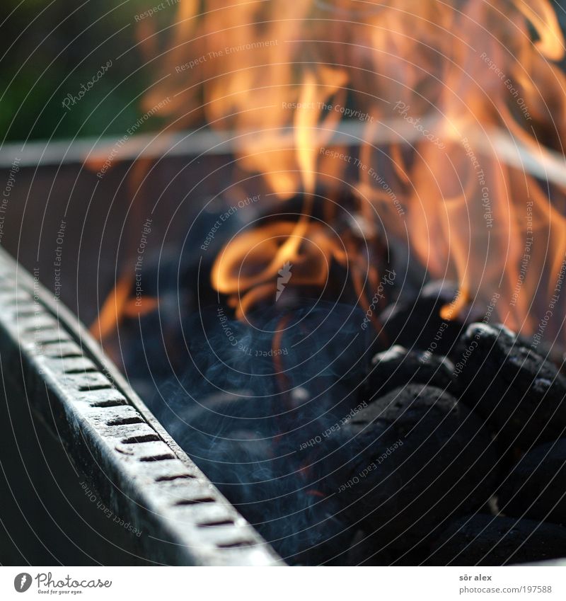 no SMOKE without a fire Barbecue (apparatus) Coal Charcoal (cooking) Fire Smoke Hot Warmth Black Barbecue (event) BBQ season Flame Fire hazard Orange