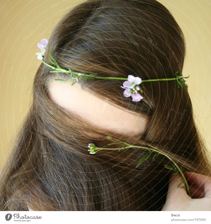 Girl with long hair and wreath of flowers Hair and hairstyles Human being Feminine Young woman Youth (Young adults) Head Hand 1 18 - 30 years Adults Brunette