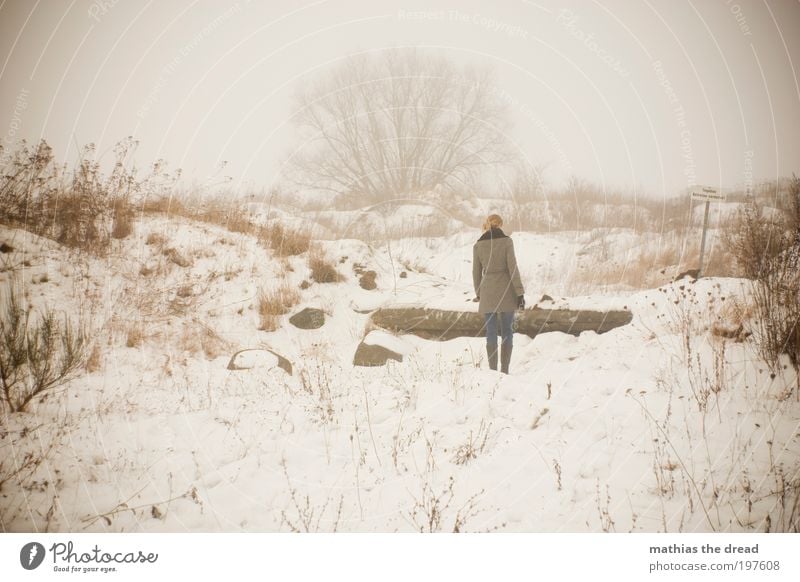 SHE WALKS AWAY Human being Environment Nature Landscape Sky Horizon Winter Bad weather Fog Ice Frost Snow Plant Tree Bushes Meadow Field Movement Think Going