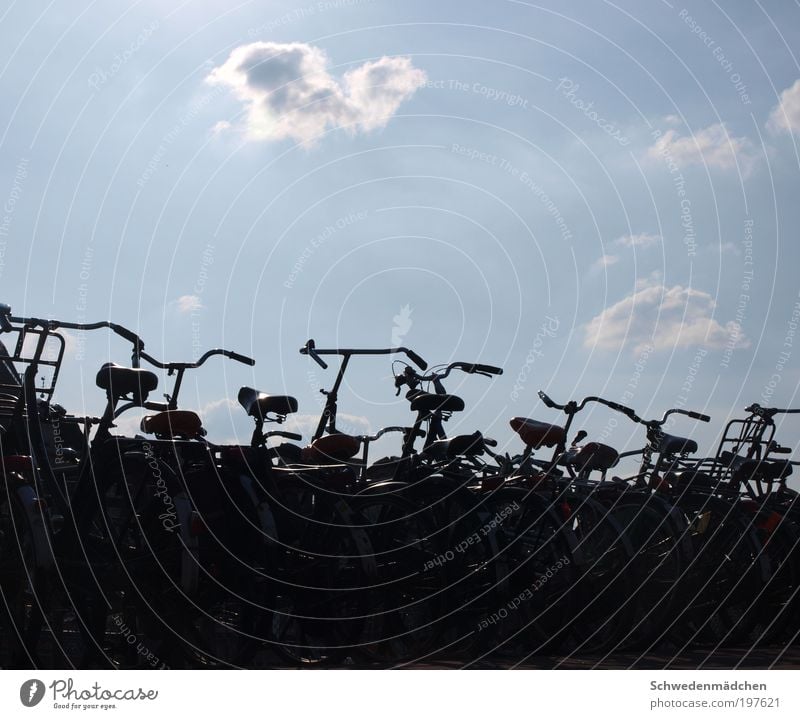 Fahrräder in Amsterdam Vacation & Travel Sightseeing Bicycle Netherlands Esthetic Simple Town Colour photo Exterior shot Detail Deserted Day Shadow Contrast