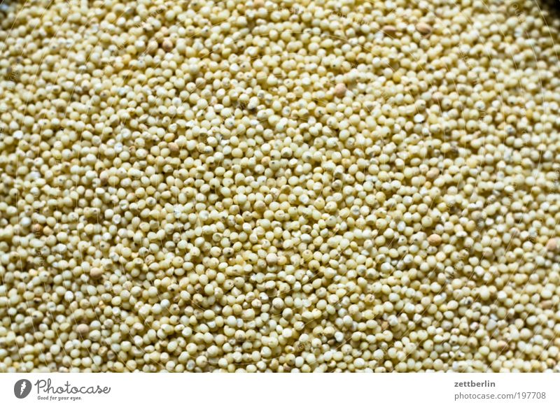 millet Millet Sesame Grain Wholewheat Nutrition Structures and shapes Arrangement Unit of measurement Kitchen Appetite Multiple