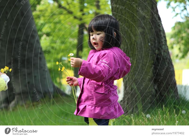 childhood Human being Feminine Toddler 1 1 - 3 years 3 - 8 years Child Infancy Environment Nature Landscape Plant Spring Summer Beautiful weather Tree Flower