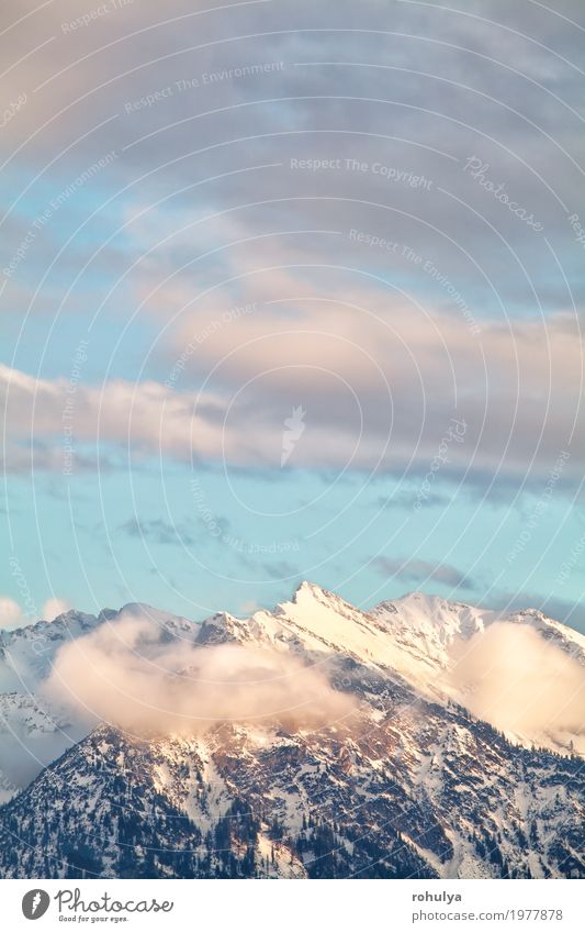 mountain peaks over sky in evening sunlight Vacation & Travel Winter Snow Mountain Nature Landscape Sky Clouds Forest Alps Peak Blue Serene Alpine sunshine