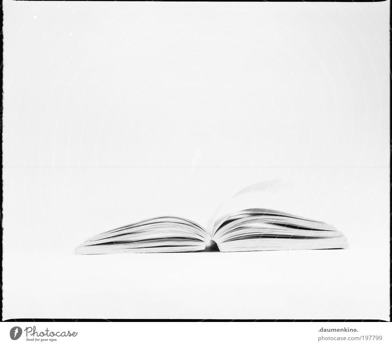 - - Paper Piece of paper Esthetic Black & white photo Studio shot Artificial light High-key Central perspective Notebook Isolated Image Copy Space top