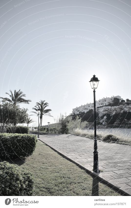 When lanterns provide shade Landscape Cloudless sky Sun Summer Beautiful weather Warmth Palm tree Hedge Rock Beach Bay House (Residential Structure)