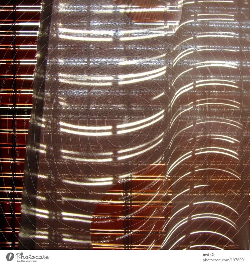 Minimal Music Living or residing Flat (apartment) Interior design Decoration Window Venetian blinds Drape Wood Glittering Illuminate Design Uniqueness Elegant