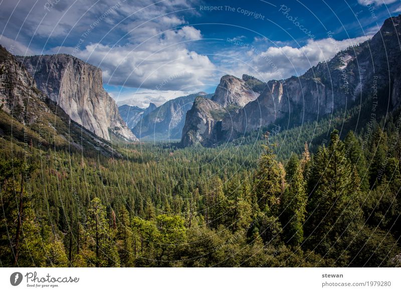 Yosemite National Park Nature Landscape Forest Rock Mountain Longing Loneliness Adventure Relaxation Vacation & Travel Colour photo Exterior shot Deserted Day