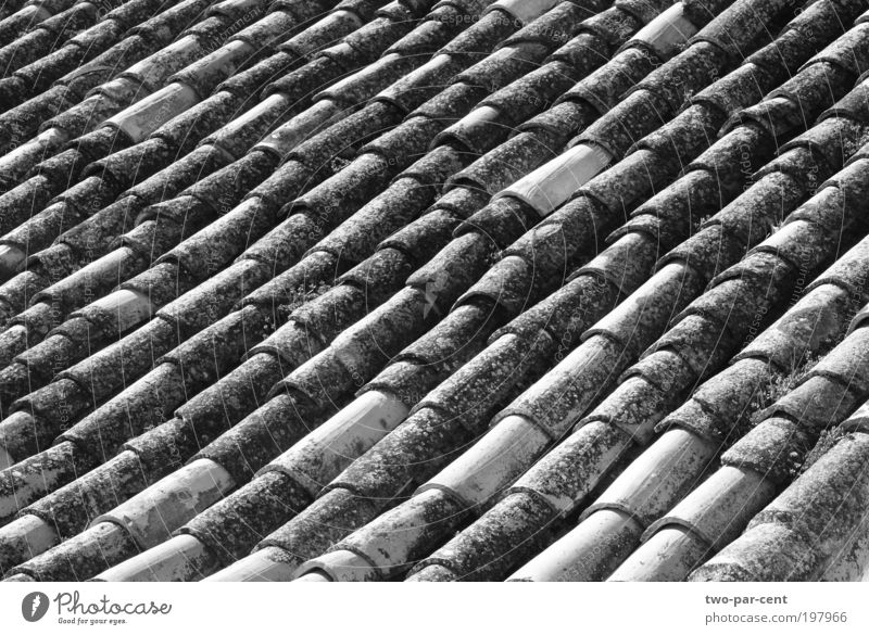 Rooftiles in Spain Village Small Town Old town Design Symmetry Black & white photo Exterior shot Deserted Morning Bird's-eye view Architecture Day