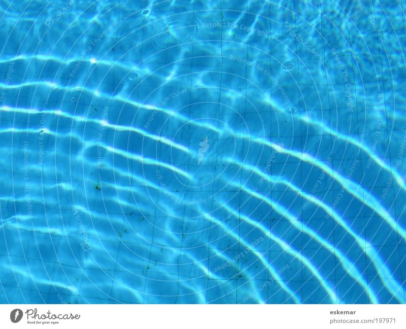 pool Swimming pool Waves Fresh Clean Blue Relaxation Leisure and hobbies Vacation & Travel background Tile caustic Optics caustic pattern Round Circle Deserted
