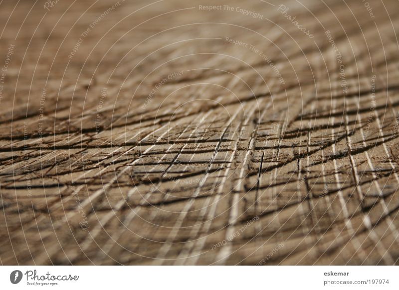 lines Wood Old Esthetic Authentic Sharp-edged Near Natural Dry Brown Furrow rutted Line Pattern cranny scratched incision Parallel Lined Neutral Background