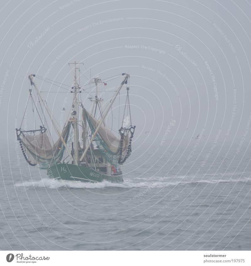 That's a boat! Water Bad weather Fog Waves North Sea Navigation Boating trip Fishing boat Bird Seagull Work and employment Driving Moody Sadness Loneliness