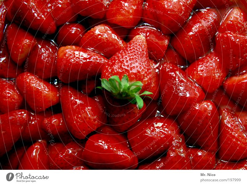 red with taste Fruit Dessert Jam Red Strawberry strawberries Sweet Delicious Plant Environment Organic produce Strawberry variety strawberry cake Food Nutrition