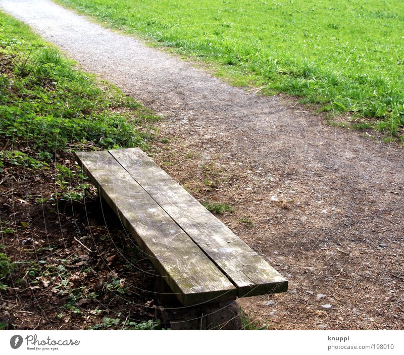 Take a break? Harmonious Well-being Relaxation Calm Trip Garden Bench Retirement Closing time Environment Nature Landscape Earth Sunlight Spring Summer