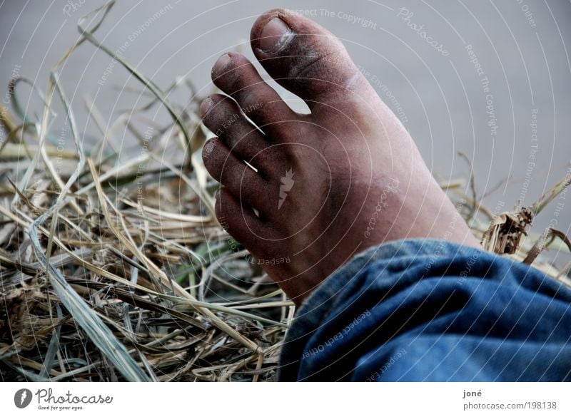 Flip-flop. Human being Masculine Young man Youth (Young adults) Life Feet 1 18 - 30 years Adults Nature Beautiful weather Bushes Wild plant Think Lie Dirty