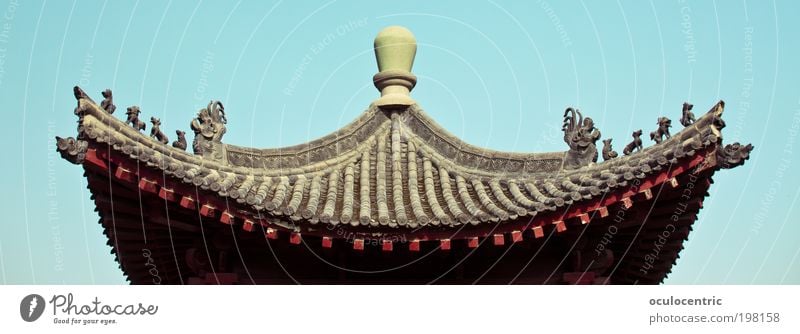 of the emperor's roofs Sky Xian China Asia House (Residential Structure) Architecture Pagoda Cinese architecture Roof Wood Esthetic Blue Brown Optimism