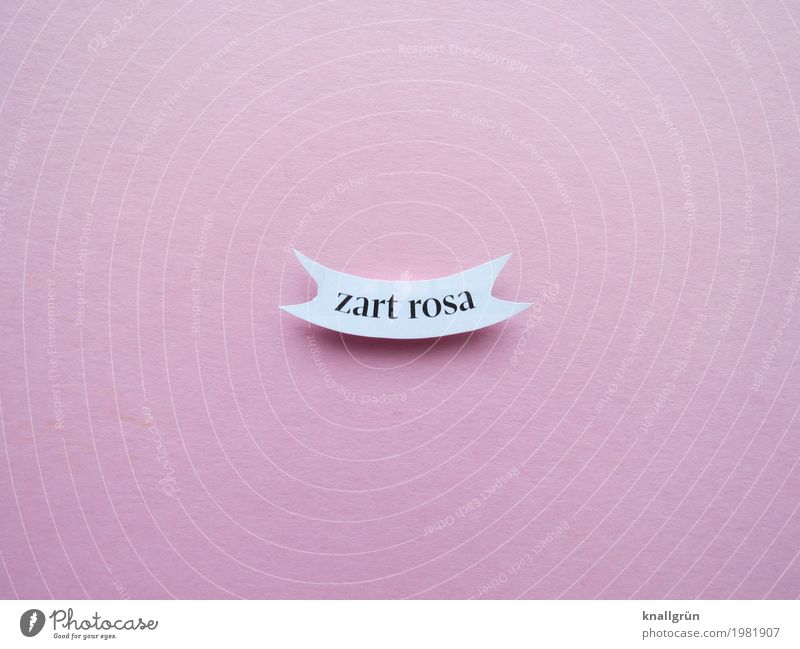 soft pink Characters Signs and labeling Communicate Pink White Emotions Pastel tone Colour photo Studio shot Deserted Copy Space left Copy Space right