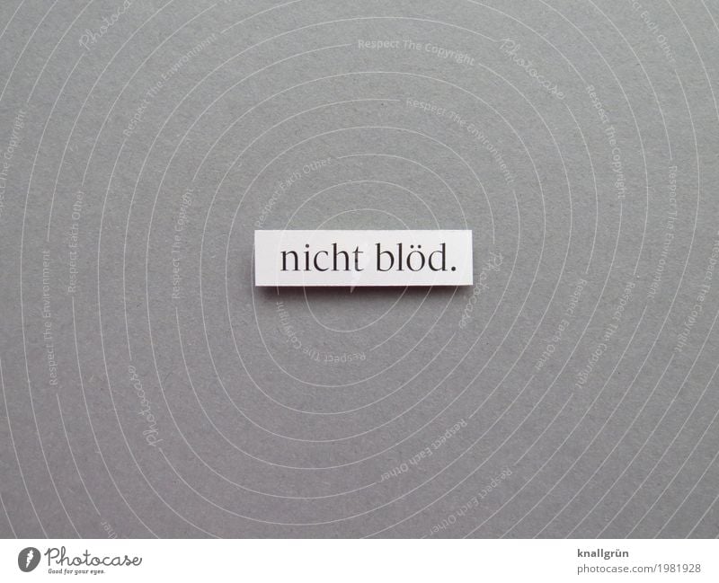 not stupid. Characters Signs and labeling Communicate Sharp-edged Gray Black White Emotions Education Stupid Smart Colour photo Studio shot Deserted