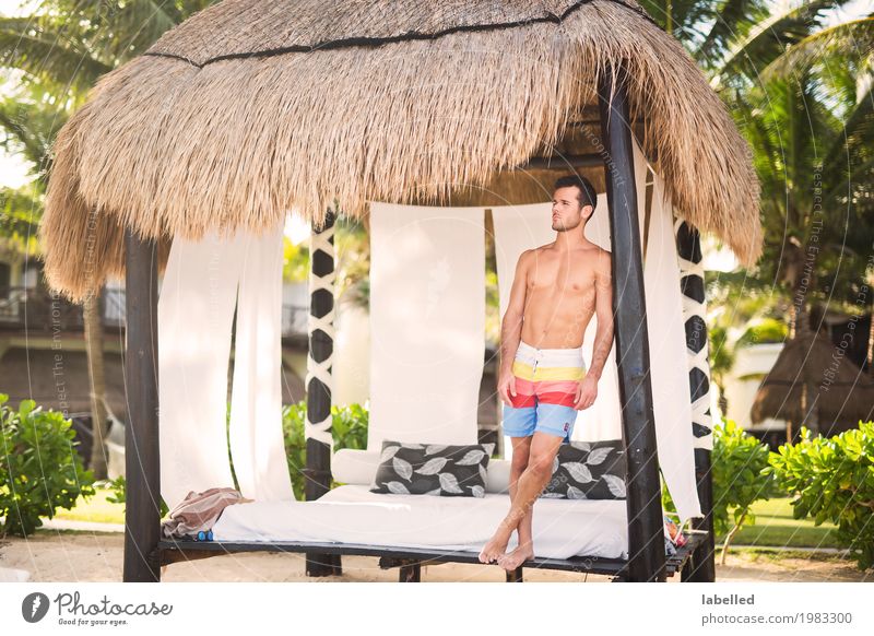 A young man relaxing on his beach vacation Human being Masculine Young man Youth (Young adults) Body Skin Chest 1 18 - 30 years Adults Summer Exotic Beach