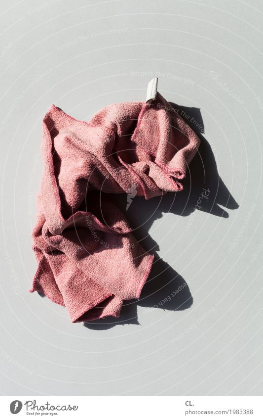 what was available / cleaning rags Cloth Floor cloth Esthetic Dirty Simple Gray Red Cleaning Dust Photos of everyday life Colour photo Interior shot Studio shot