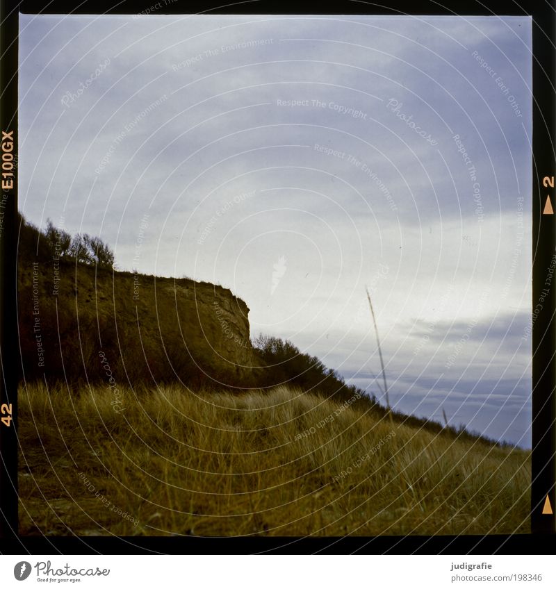 coastline Environment Nature Landscape Plant Sky Climate Grass Coast Baltic Sea Ocean Dark Natural Moody Shame Ahrenshoop Darss steep coast high bank Slide