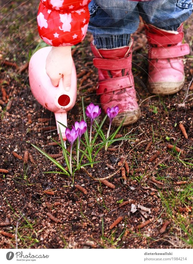 water flowers Easter Child Cast Watering can Human being Toddler Girl Arm Hand Feet Environment Nature Plant Spring Crocus Playing Adventure Joy Garden