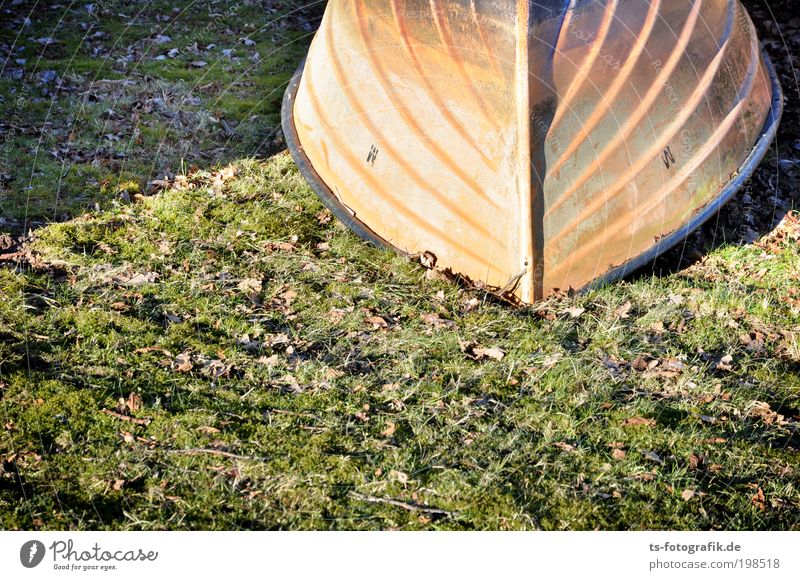 parking offender Environment Nature Elements Earth Water Summer Autumn Climate Climate change Beautiful weather Drought Grass Leaf Coast Beach Ocean Brook River