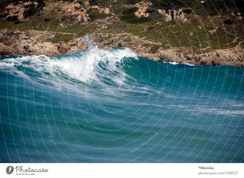 Rena Majore Vacation & Travel Tourism Summer Ocean Waves Nature Elements Fluid Large Wet Blue Joie de vivre (Vitality) Power Pure Calm Sardinia Colour photo