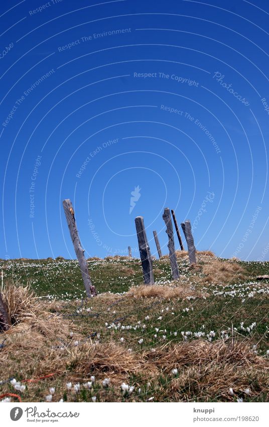 wind misalignment Trip Summer Summer vacation Sun Mountain Environment Nature Landscape Plant Cloudless sky Horizon Spring Beautiful weather Grass Bushes