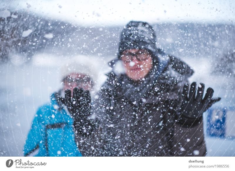 Two people enjoy the snow flurries Leisure and hobbies Playing Snowball fight Trip Winter Winter vacation Winter sports Human being Masculine Feminine