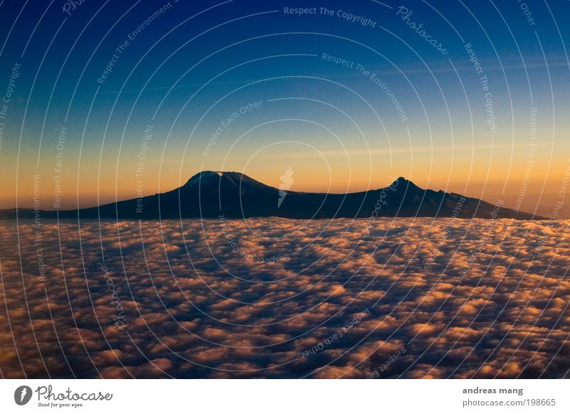 An island above the clouds Vacation & Travel Air Sky Sky only Clouds Horizon Sunrise Sunset Sunlight Mountain Snowcapped peak Infinity Cold Blue Gold Hope
