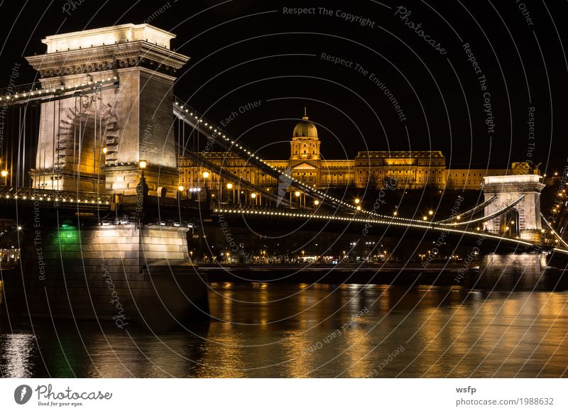 Chain bridge with castle palace Hungary Budapest at night Tourism Town Castle Architecture Historic Suspension bridge Lighting City Danube Attraction pestilence