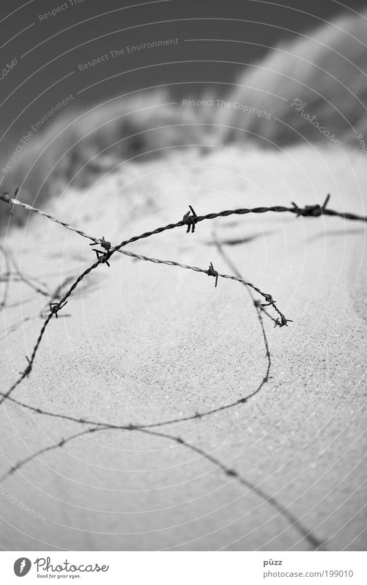 barbed wire Nature Sand Cloudless sky Aggression Threat Thorny Gloomy Gray Black Fear Animosity Apocalyptic sentiment Sadness Barbed wire Fence Captured Barrier