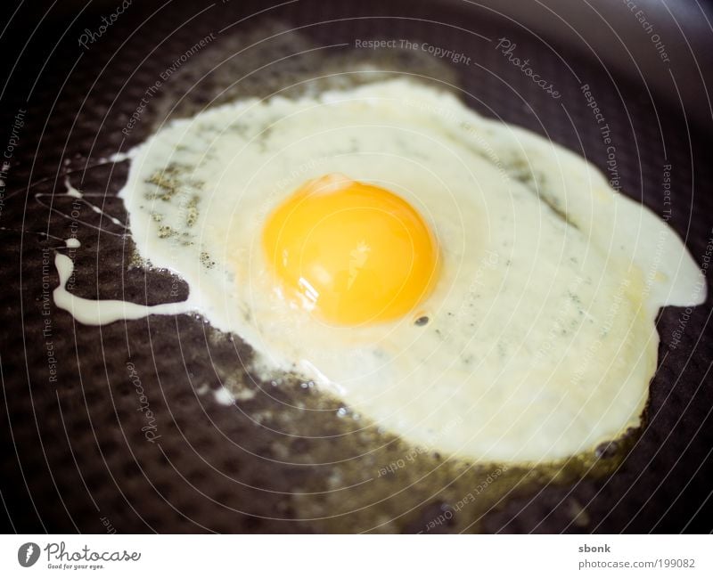 Egg Food Nutrition Breakfast Lunch Organic produce Kitchen Stove & Oven Appetite Delicious Fried egg sunny-side up Pan Butter Colour photo Interior shot