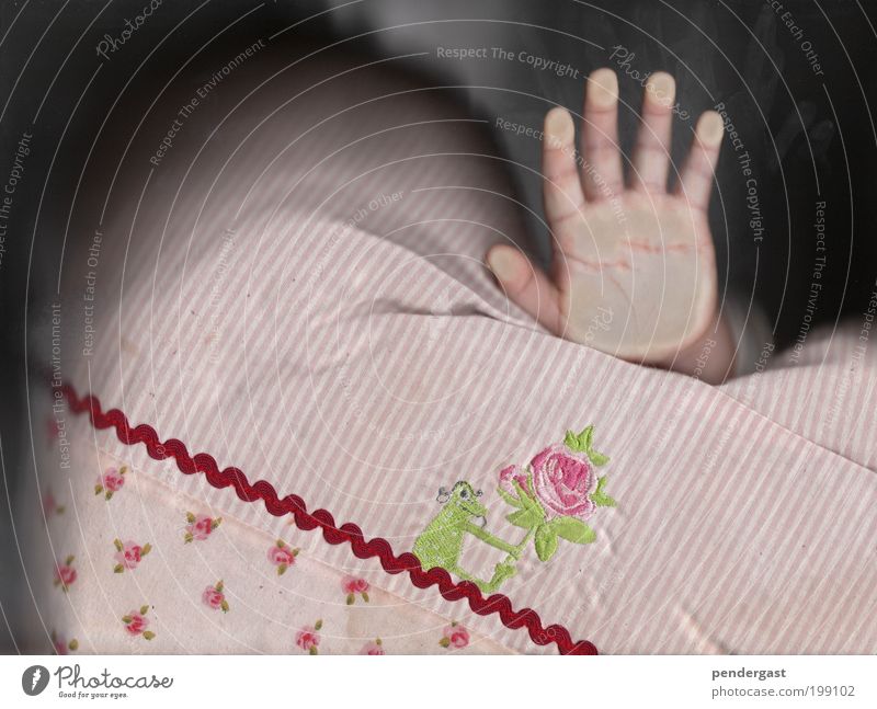 flat hand Child Hand 1 Human being 1 - 3 years Toddler Cloth Touch Pink Cushion Colour photo Close-up Detail Pattern Structures and shapes Worm's-eye view