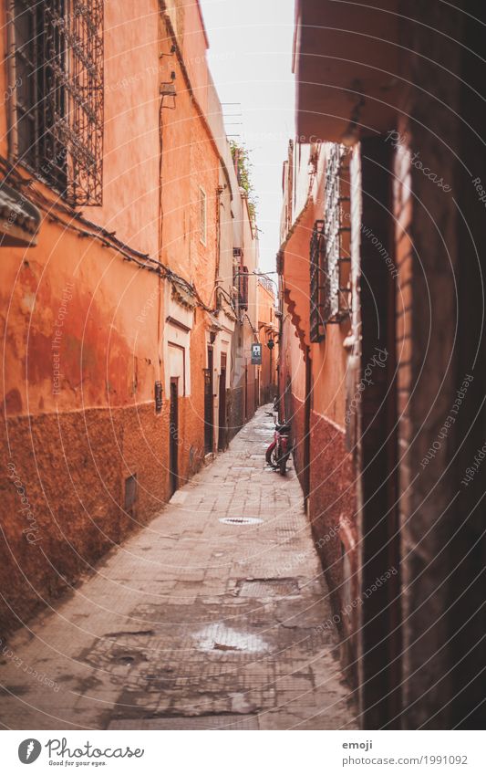 marrakech Town House (Residential Structure) Wall (barrier) Wall (building) Facade Alley Marrakesh Old Red Colour photo Exterior shot Deserted Day Long shot