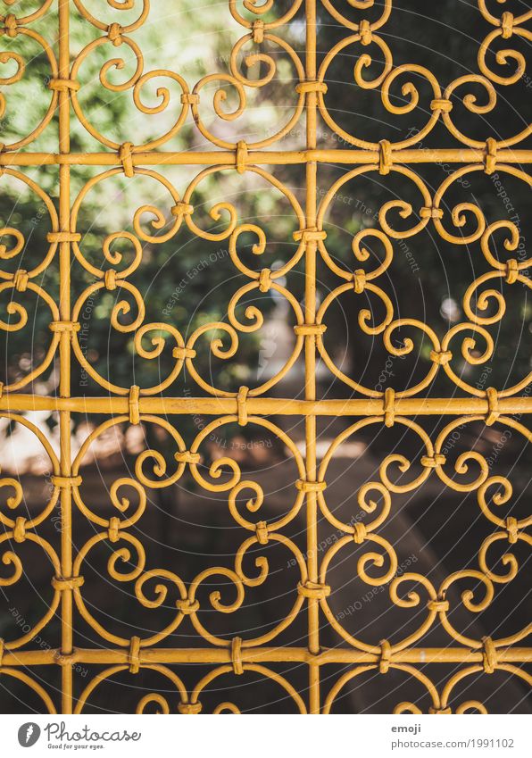 lattice Nature Summer Beautiful weather Park Grating Ornamental Yellow Kitsch Colour photo Exterior shot Detail Pattern Deserted Day Shallow depth of field