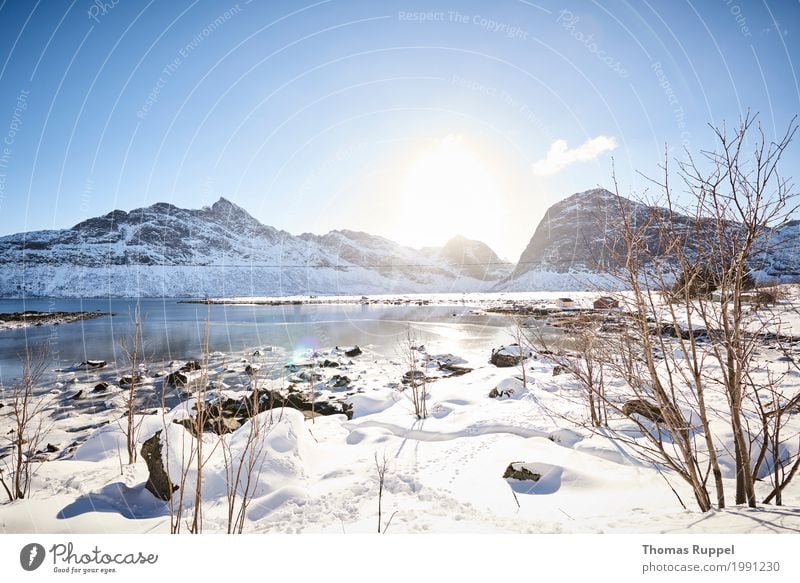 Fantastic weather in Lofoten Leisure and hobbies Vacation & Travel Tourism Trip Adventure Far-off places Freedom Sun Winter Snow Winter vacation Mountain