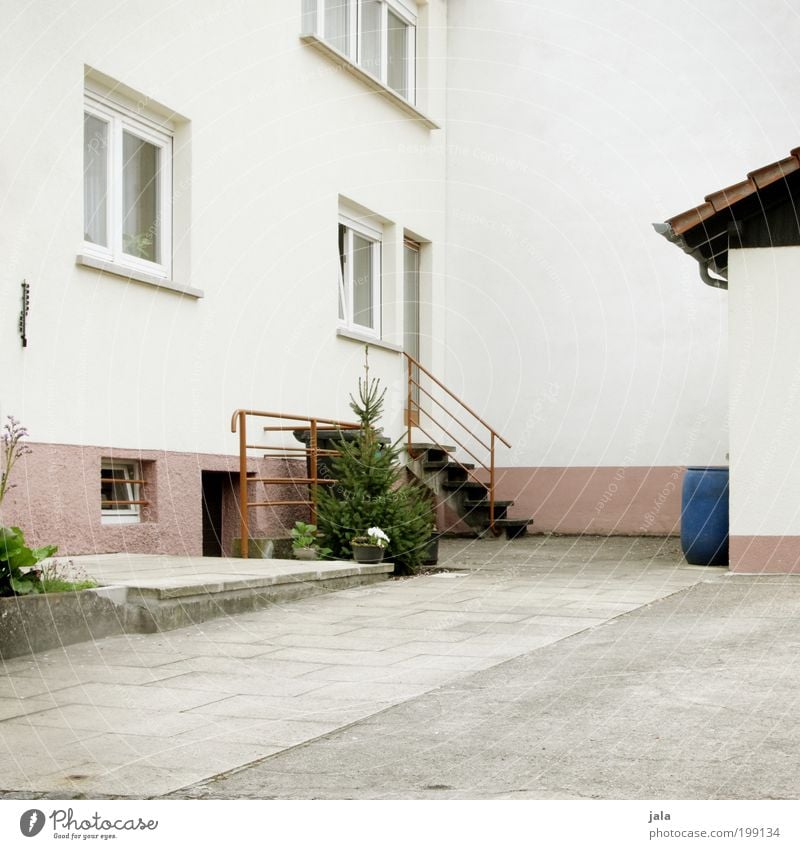 backyard Tree Foliage plant Town House (Residential Structure) Places Manmade structures Building Architecture Wall (barrier) Wall (building) Stairs Facade