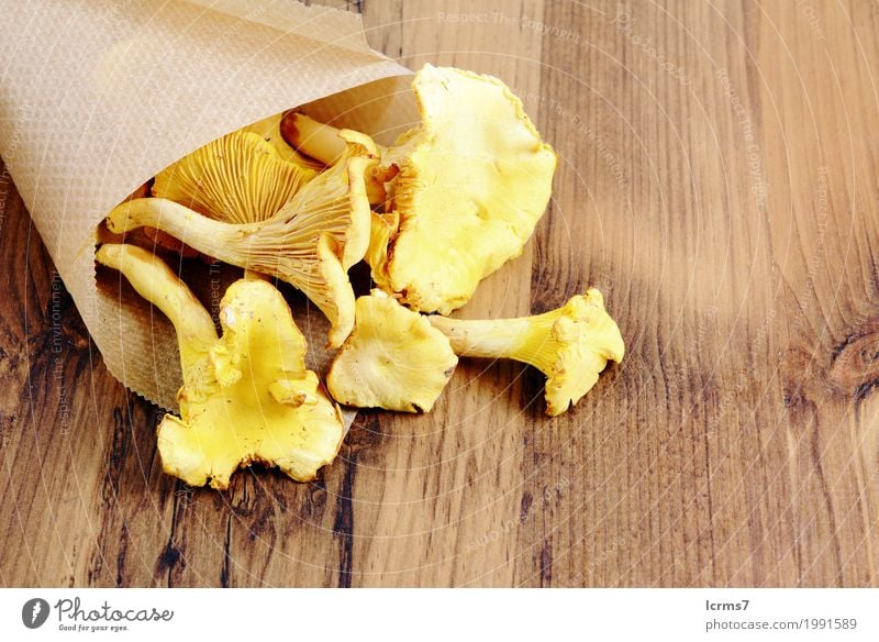 paper bag with golden chanterelle on a table Healthy Eating Yellow chantarelle food healthy natural fresh mushrooms organic tasty vegetable ingredient edible