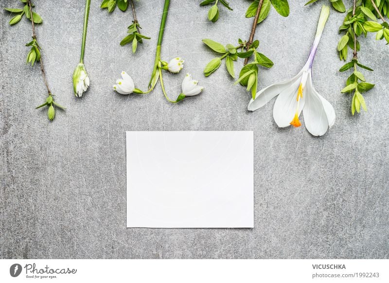 Empty white card with lily of the valley, crocuses and spring branches Style Design Garden Nature Plant Spring Flower Leaf Blossom Decoration Bouquet