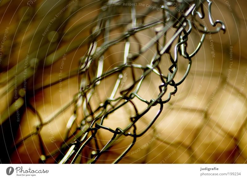 wire netting Metal Old Threat Glittering Broken Thorny Protection Watchfulness Respect Bizarre Freedom Hope Network Revolt Bans Transience Change Destruction