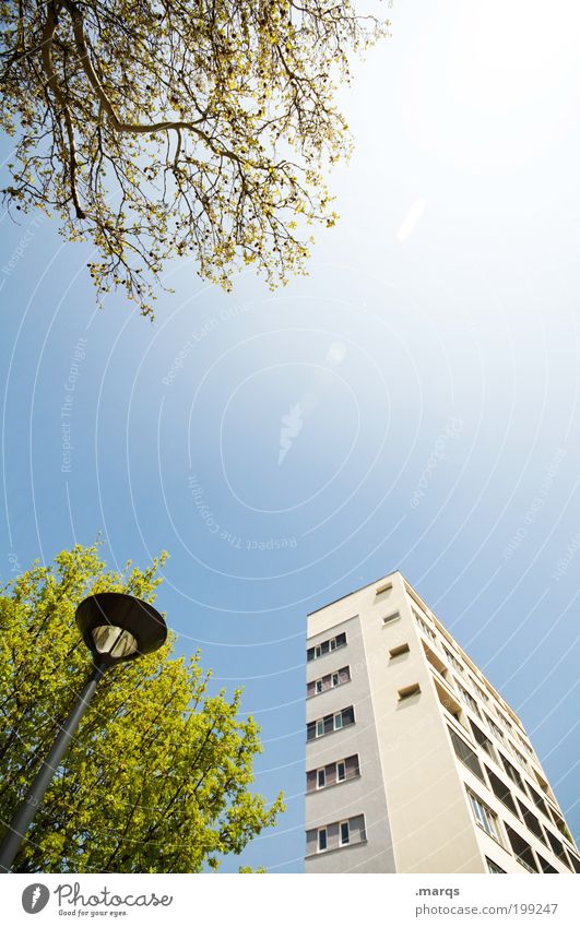 dorm Lifestyle Summer Beautiful weather Tree Bushes High-rise Building Architecture Lantern Bright Town Perspective Street lighting Real estate market