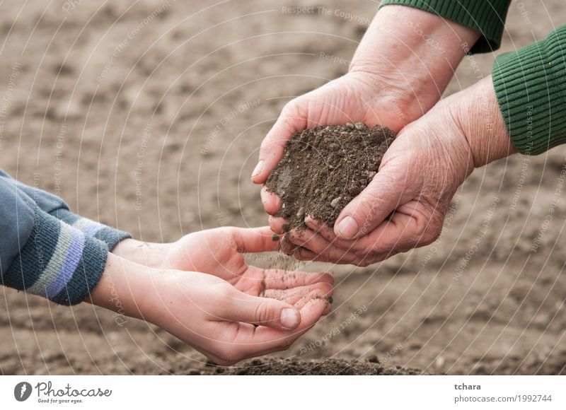 Save the nature Life Garden Child Gardening Human being Woman Adults Hand Environment Nature Plant Earth Growth Dirty Natural Brown background Organic
