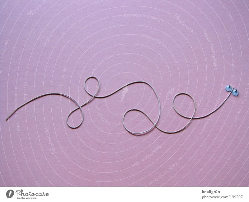 snake in the grass Animal Snake 1 Elastic band Pink White Joy Creativity Wiggly line Fantasy underpants rubber Colour photo Studio shot Deserted Copy Space top