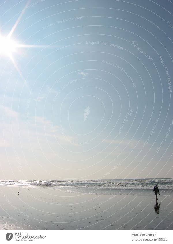 san_francisco_beach_02 Beach Ocean Waves Pacific Ocean Loneliness To go for a walk San Francisco Sun Sand West Coast USA Surf Sunlight Sunbeam Back-light